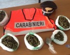 Pachino. Oltre un chilo di droga nascosto in terrazzo, carabinieri arrestano 34enne